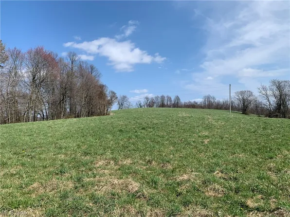 123 Tr, Freeport, OH 43973