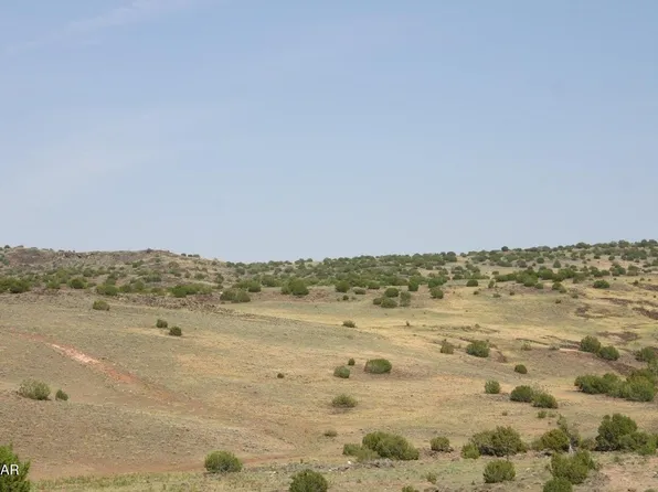 County Road 212 #8-001E, Concho, AZ 85924
