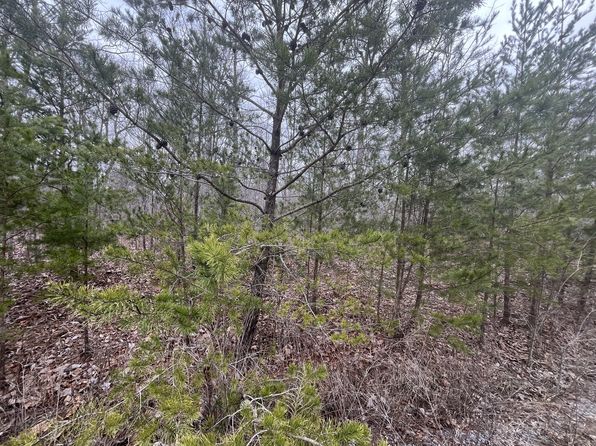 0 Maple St LOT 148, Pikeville, TN 37367