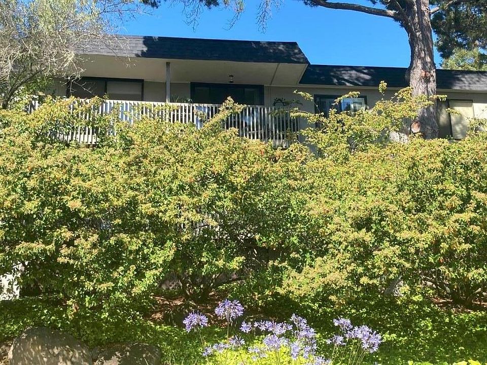 1st image of 2329 Shelter Creek Ln