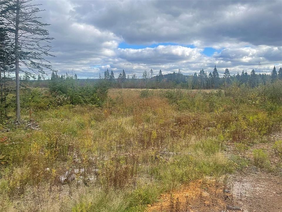 1st image of 136333 Peter's Pond