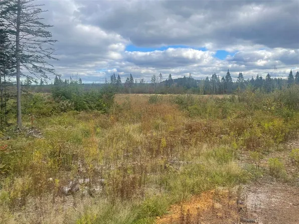 136333 Peter's Pond, Botwood, NL A0H1E0