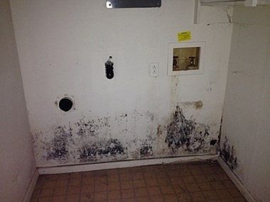 NVMS Reports page45 image121