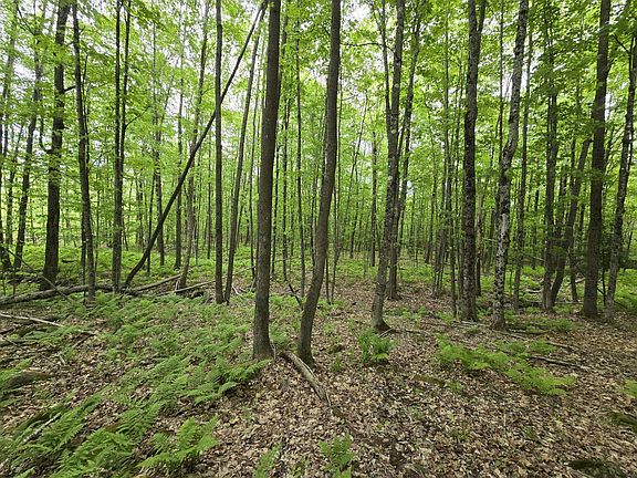 4th image of Lot 26 Canton Mountain Road