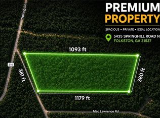 5435 Springhill Rd N, Folkston, GA 31537