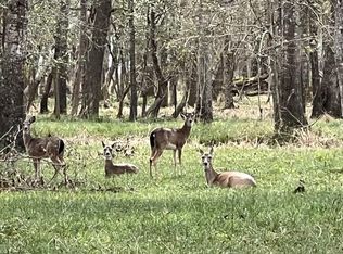 0 Lake View Rd, Damon, TX 77430