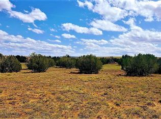 3822 S Freeman Hollow Rd, Snowflake, AZ 85937