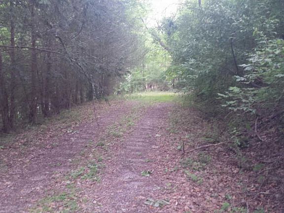 3rd image of 2076 Park Ln