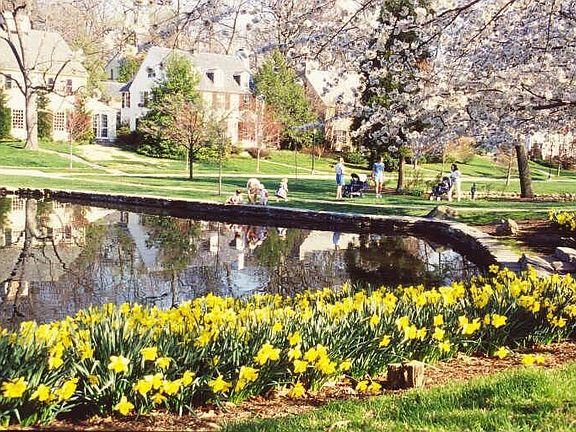 Take advantage of a warm day by strolling around the lakes while delighting in the Spring show.