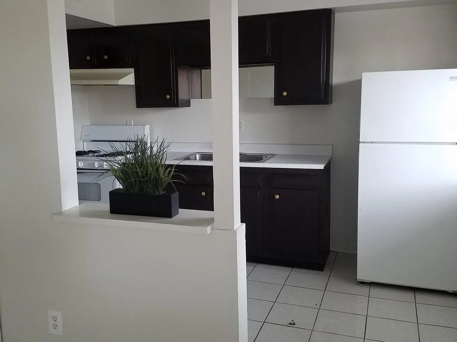 1 bed, $950 — Photo 4