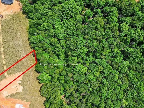 0 Parris Farm Rd Lot 5, Chesnee, SC 29323