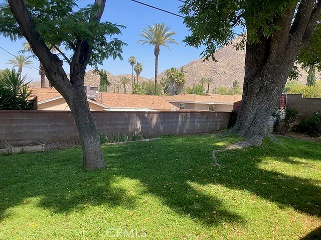 515 Alta Mesa Dr — Photo 6