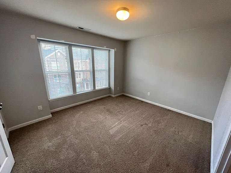 215 Dove Cottage Ln — Photo 21