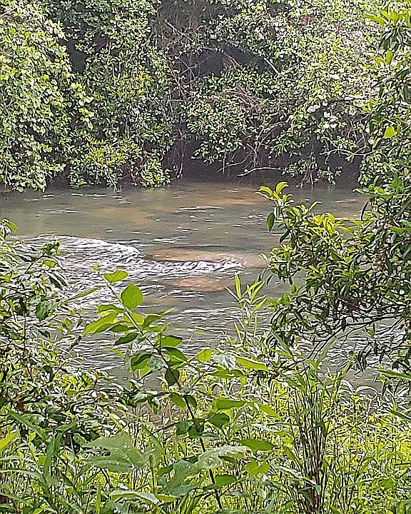 1st image of 1541 County Road 631