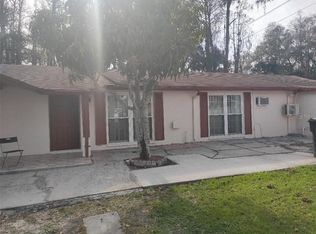 10313 Orchard Hills Ct, Tampa, FL 33615