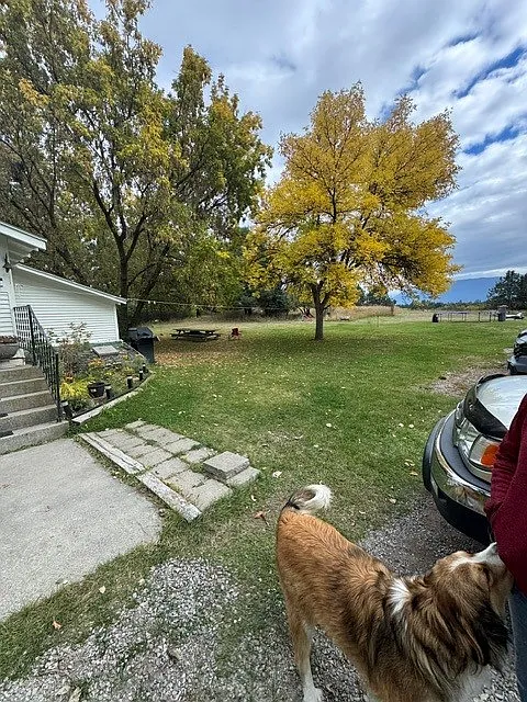 4 bed, 1689 sqft, $2,600 — Photo 4