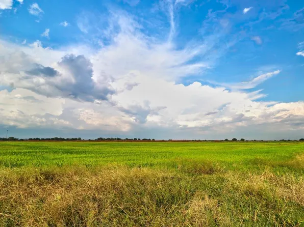 Ward Line Rd, Lake Charles, LA 70607