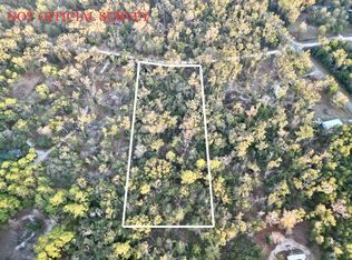 LOT 19 NE 497th St, Old Town, FL 32680