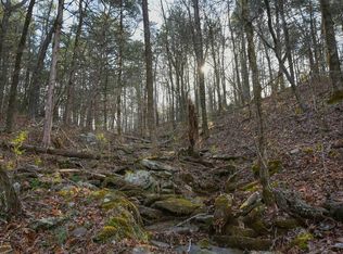 Mountain Mdws, Shirley, AR 72153