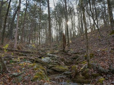 Mountain Mdws, Shirley, AR, 72153