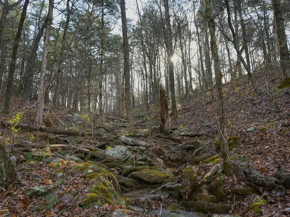Mountain Mdws, Shirley, AR 72153