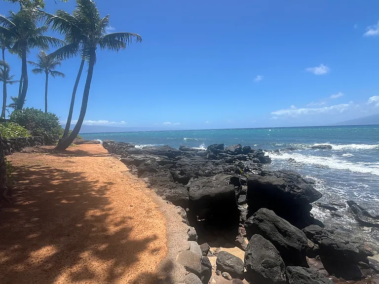 4057 Lower Honoapiilani Rd — Photo 25