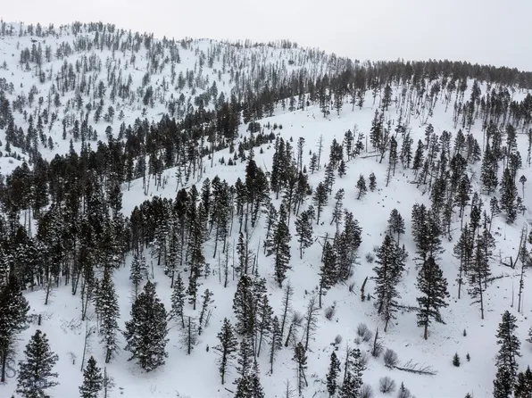 Horse Creek Rd, Bozeman, MT 59715