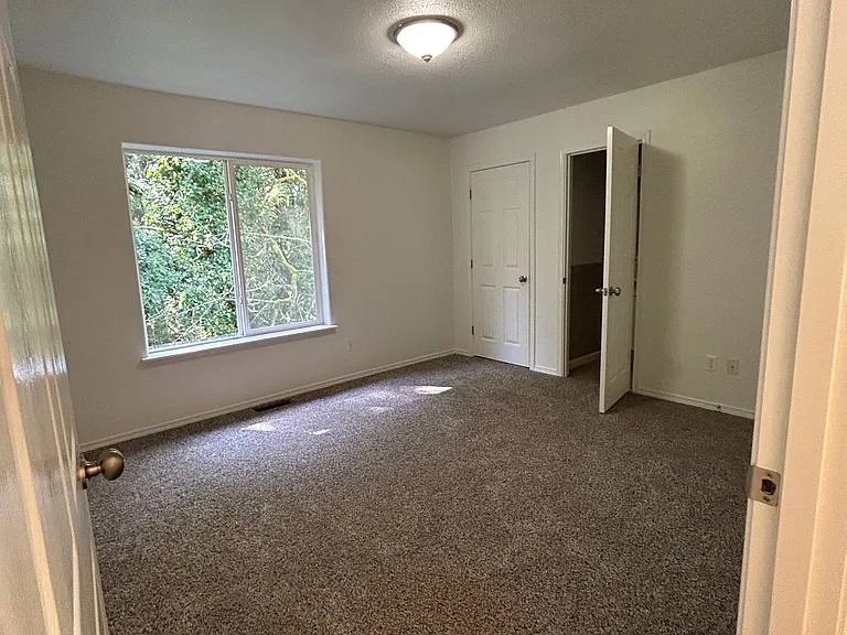 148 Cedar Falls Dr — Photo 8
