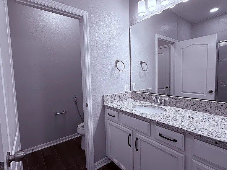 Master bath vanity and water closet