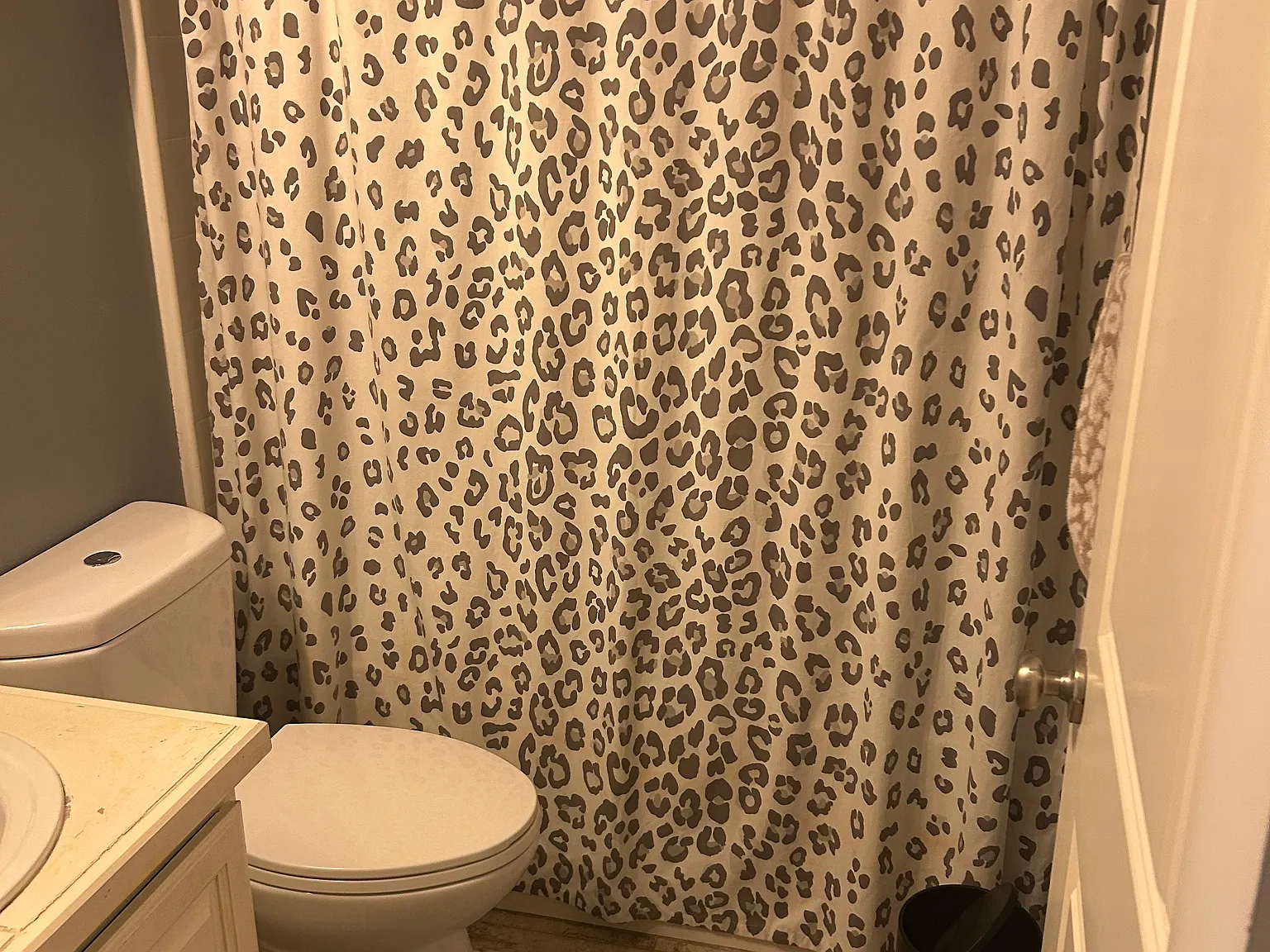 5 bed, 3006 sqft, $1,000 — Photo 4
