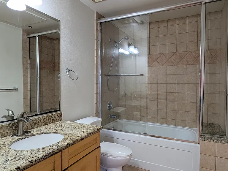 Guest Full Bathroom