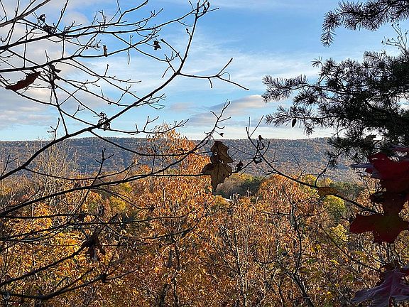 View (top of the mountain)