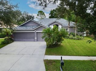 1156 Lumsden Trace Cir, Valrico, FL 33594