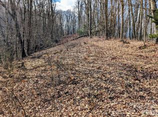 49 Hazel Top Section Teaberry Ridge Rd, Waynesville, NC 28786