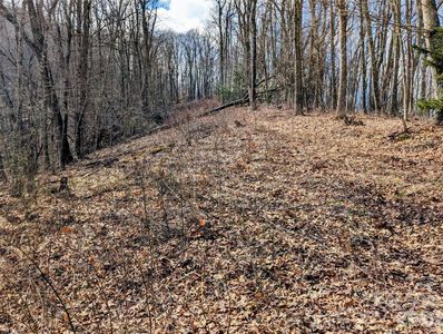 49 Hazel Top Section Teaberry Ridge Rd, Waynesville, NC, 28786