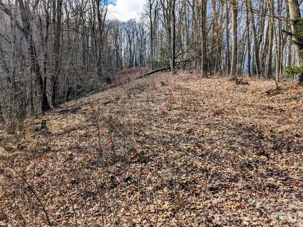 49 Hazel Top Section Teaberry Ridge Rd, Waynesville, NC 28786