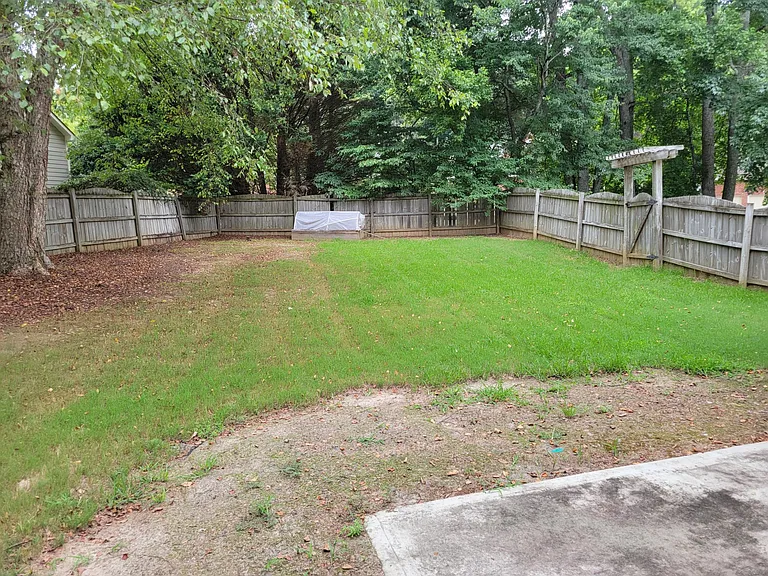 Pretty darn big back yard. Think my dog would be happy out there or anything. It's big. And it is completely fenced in.