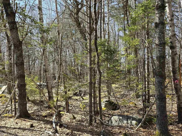 69 Sparkling Spring Ln, Queens, NS B0T 1E0