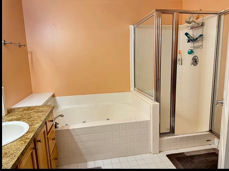 28522 Carlton Way Dr #55 — Photo 10