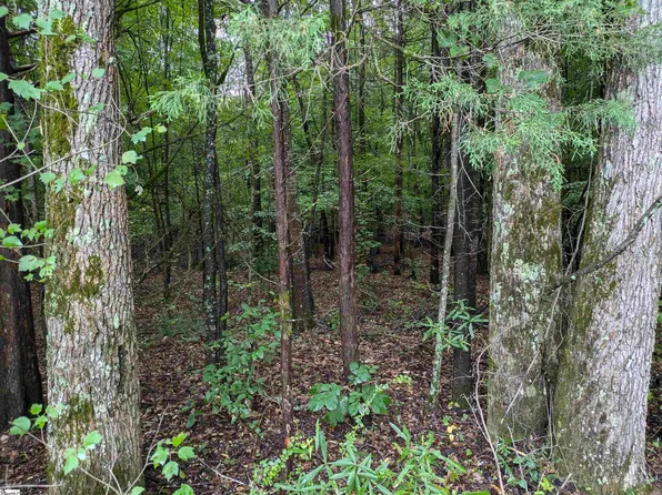 0 W Old Highway 76, Gray Court, SC 29645