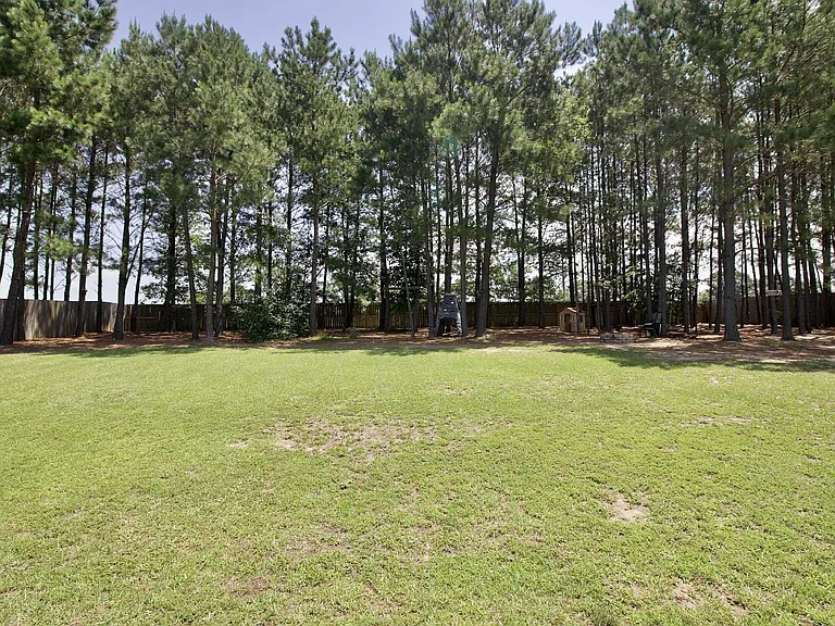 197 Caswell Pines Ln — Photo 5