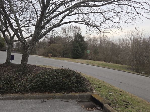 nashville-tennessee-41182781 picture