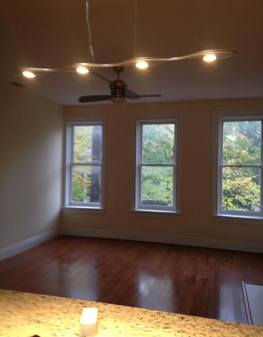 153 W Lanvale Street — Photo 3