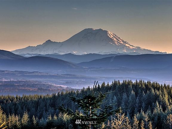 Unbelievable Mount Rainier views exceed your expectations. 