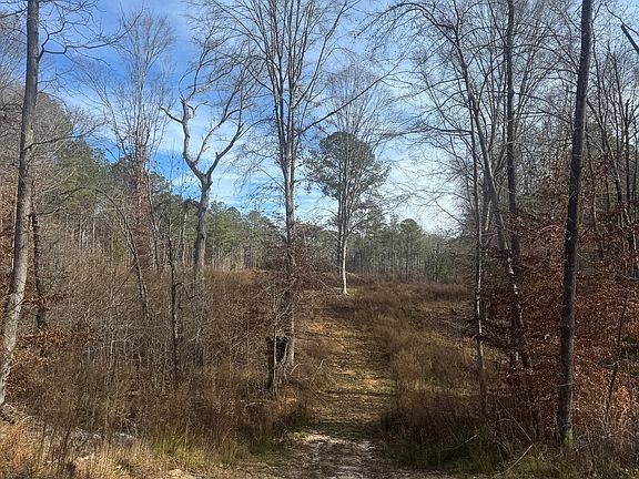 5th image of 343 Fawn Rd