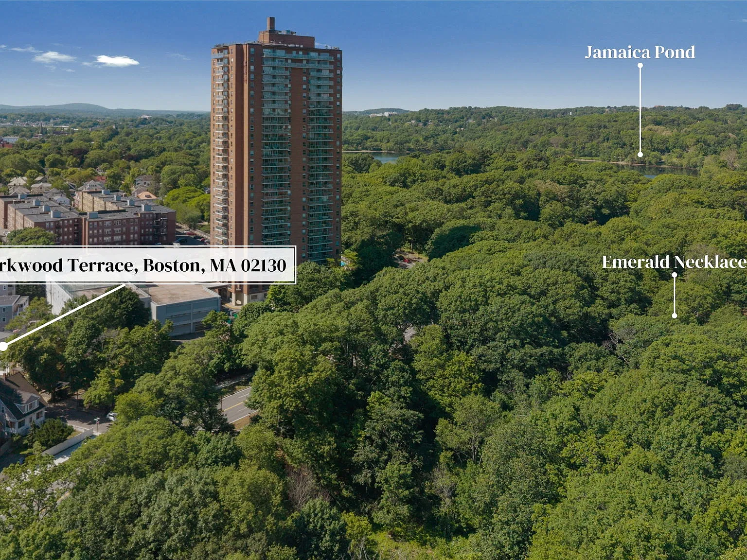 1 bed, 337 sqft, $1,650 — Photo 3