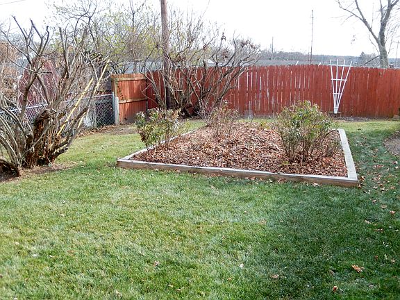 back yard - garden