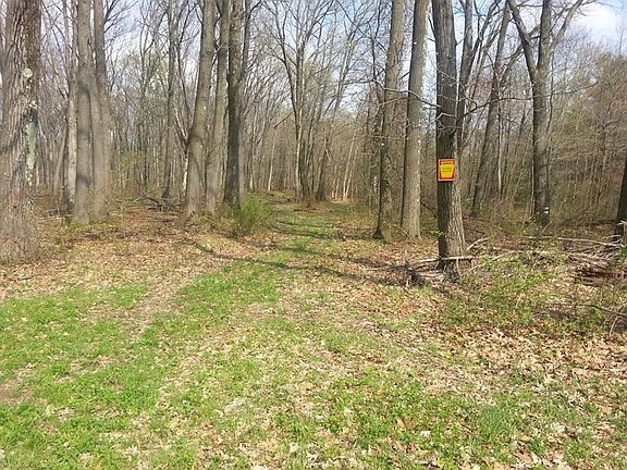 2nd image of Buckhorn Road