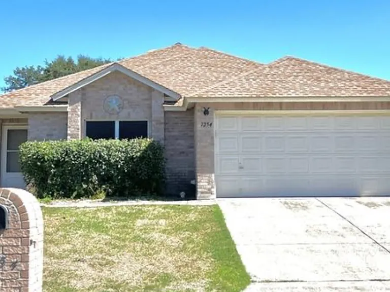 7254 Dwarf Palm — Photo 1