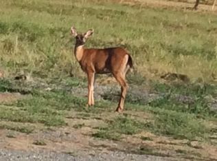 293 W Anderson Rd, Sequim, WA 98382